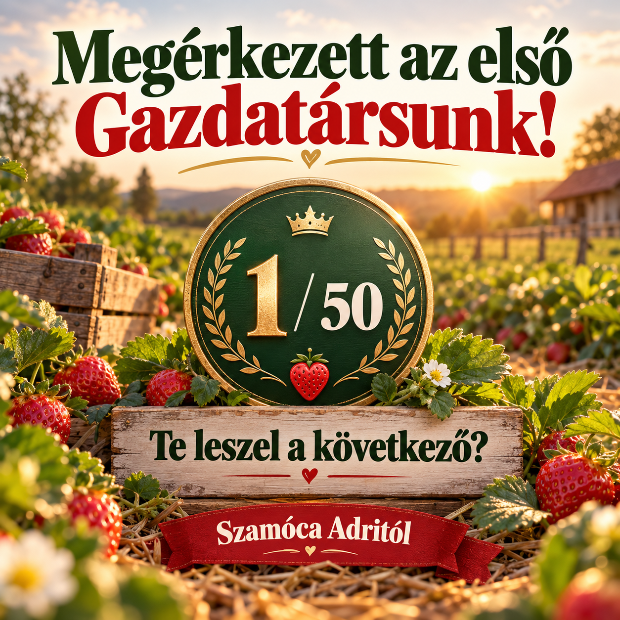 🍓 Megérkezett az első Gazdatársunk!